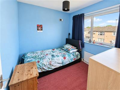 Picture 9